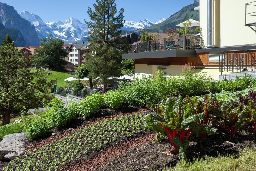 Hotel Schoenegg Wengen Bagian luar foto