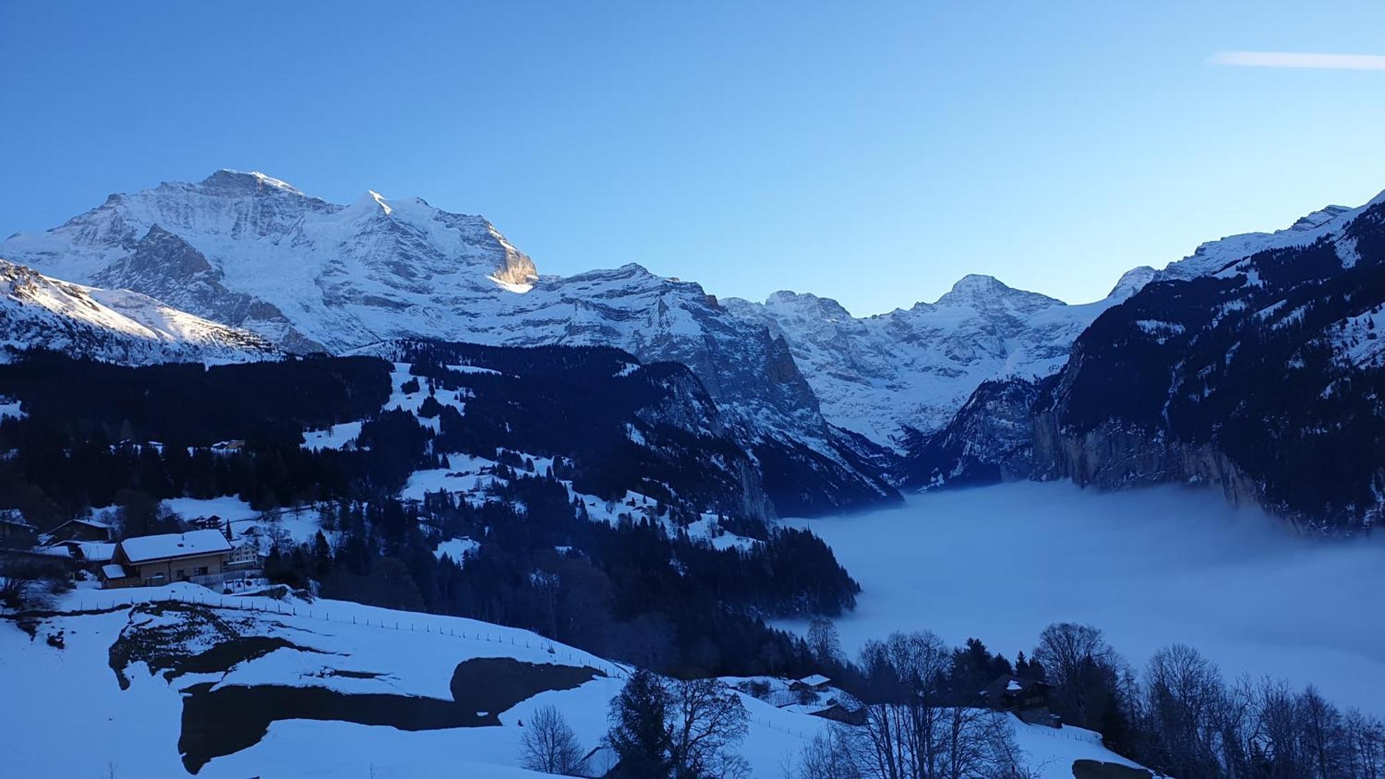 Hotel Schoenegg Wengen Bagian luar foto